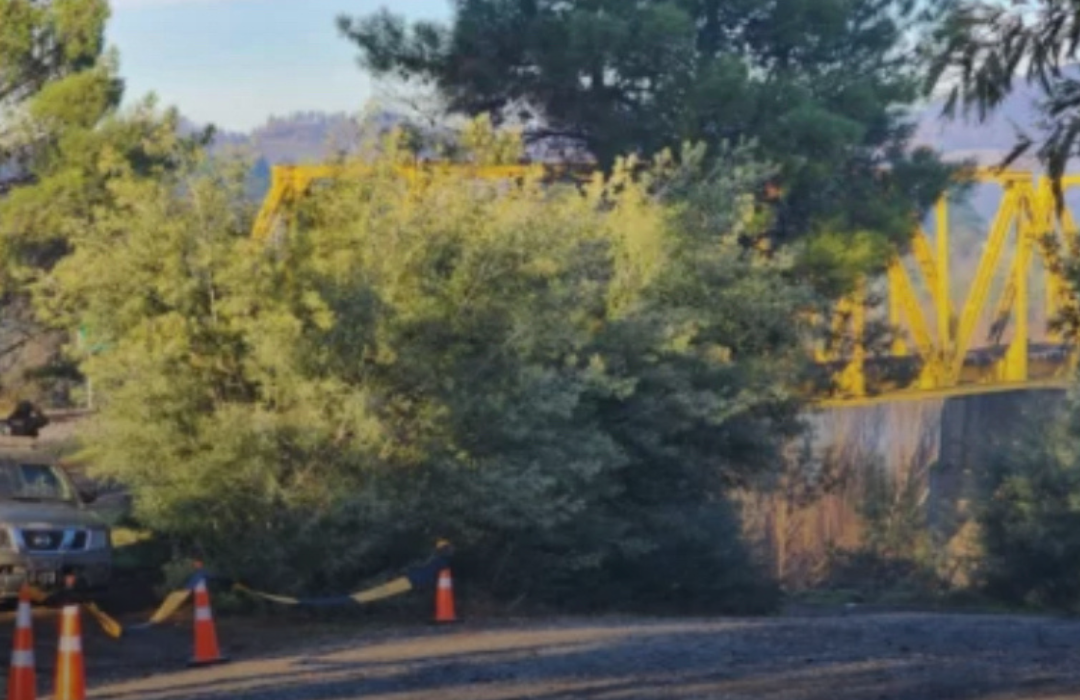 Delegación de Ñuble anuncia querella criminal por atentado con explosivo a puente ferroviario