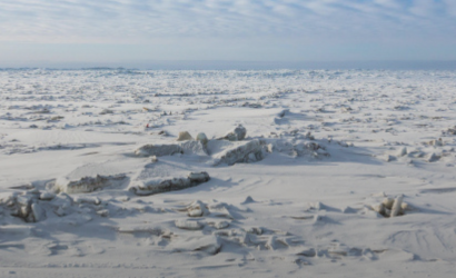 La plataforma de hielo de la Antártida creció 5.305 kilómetros cuadrados entre 2009 y 2019