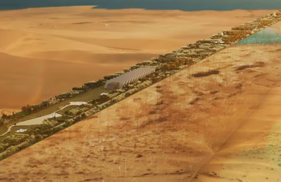 Por qué la ciudad futurista que se construye en Arabia Saudita preocupa a las organizaciones que velan por los Derechos Humanos