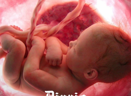 La junta escolar de Tennessee aprueba por unanimidad el plan de estudios que incluye «Baby Olivia»