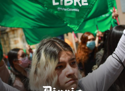 Congreso de Brasil debate proyecto de ley que busca igualar el aborto después de las 22 semanas con un homicidio