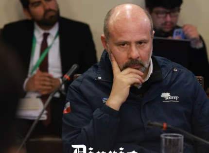 Christian Little: el incendio que acecha al director de Conaf