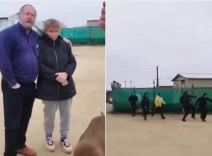 “Fueron por lana, salieron trasquilados”: graban violenta agresión contra Pedro Pool en su visita a Quilpué