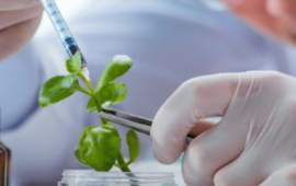 Aprueban la creación de un Centro de Biotecnología en Los Ríos para potenciar a las empresas locales innovadoras