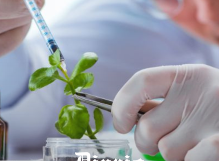 Aprueban la creación de un Centro de Biotecnología en Los Ríos para potenciar a las empresas locales innovadoras