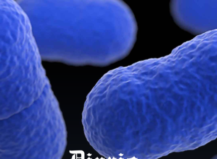 Casos de Listeria en Chile: Minsal detalla quiénes son considerados grupos de riesgo y qué alimentos no deben consumir