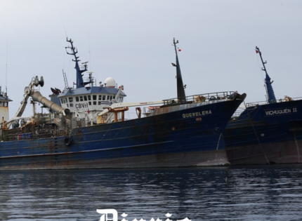 Protestas y lobby en el extranjero por jurel: La estrategia de industria pesquera para hacer caer fraccionamiento