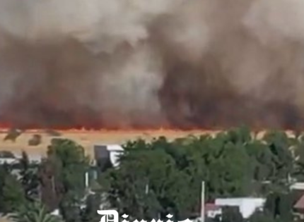 Tiltil: Incendio forestal en Huertos Familiares moviliza a Conaf y Bomberos