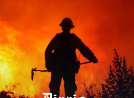 Conaf desvinculó a funcionarios detenidos: «Echan por tierra el esfuerzo de todos»