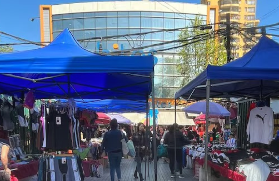 Incautan medicamentos y especies falsificadas desde bodega de toldos azules en Barrio Meiggs