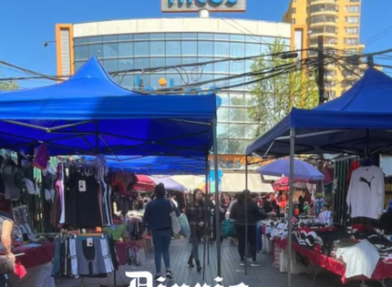 Incautan medicamentos y especies falsificadas desde bodega de toldos azules en Barrio Meiggs