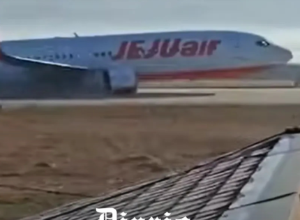 En maniobra de aterrizaje y tras colisionar con ave: 176 pasajeros mueren en accidente aéreo en Corea del Sur