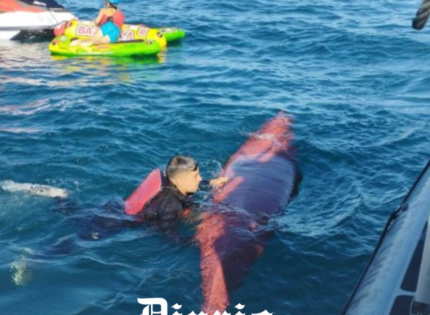 Encontraron el kayak: lo que se sabe de la joven desaparecida en el Lago Villarrica