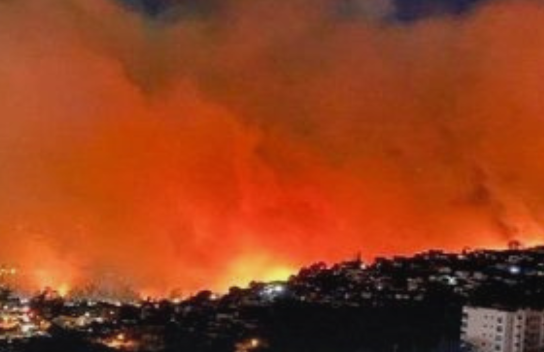 Incendio en Viña del Mar 2024: Historias de Pérdida y Superación en una Tragedia Anunciada