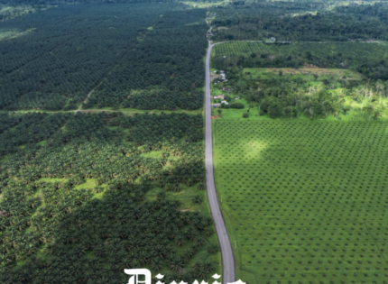 Presión de países latinoamericanos frena ley europea contra materias primas que generan deforestación