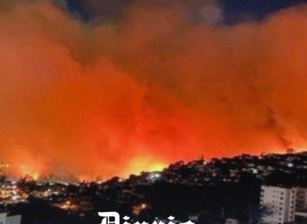 Incendio en Viña del Mar 2024: Historias de Pérdida y Superación en una Tragedia Anunciada