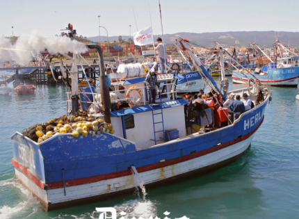 Industria pesquera pierde terreno ante avance de ley que beneficia a artesanales y amenaza con llevarla a tribunales