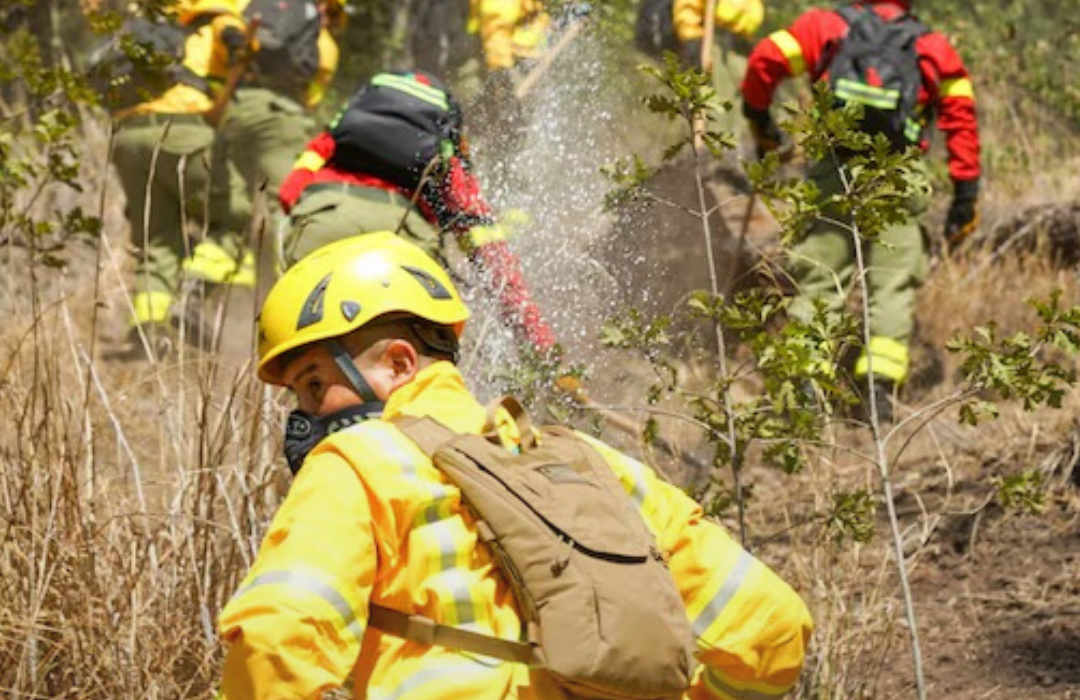 Tres brigadistas de la CMPC mueren en combate de incendio forestal en Los Sauces