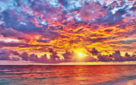 Visiones en el lecho de muerte son verificables, constata un físico