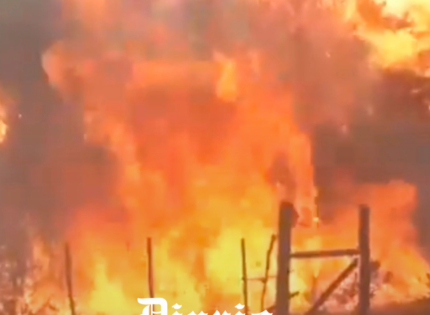 Incendio de la Patagonia argentina atraviesa cordillera y llega a Chile: Van casi 50.000 hectáreas arrasadas