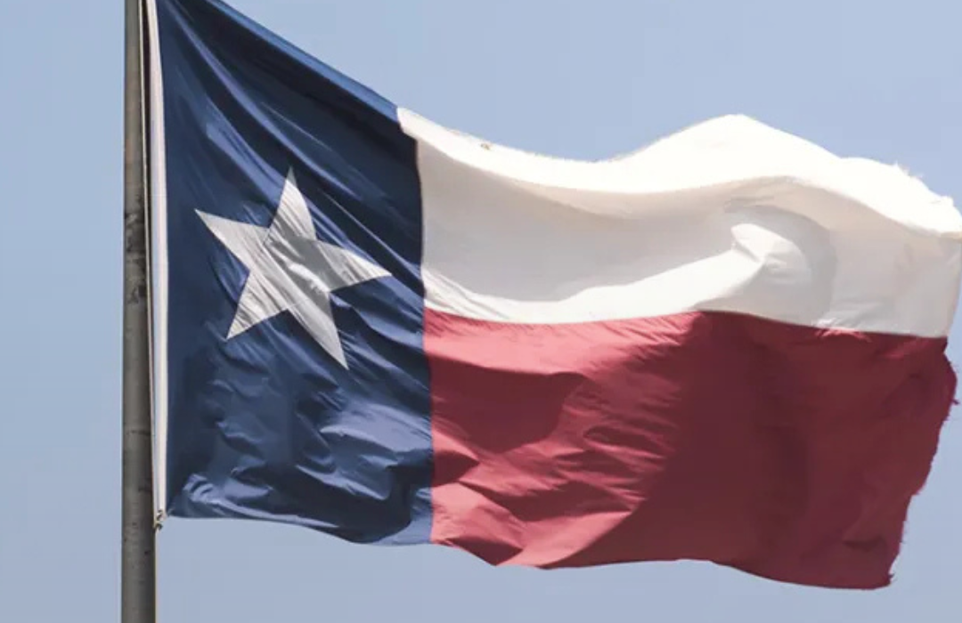 Instituto Charlotte Lozier: Texas demuestra el impacto positivo de las leyes pro vida