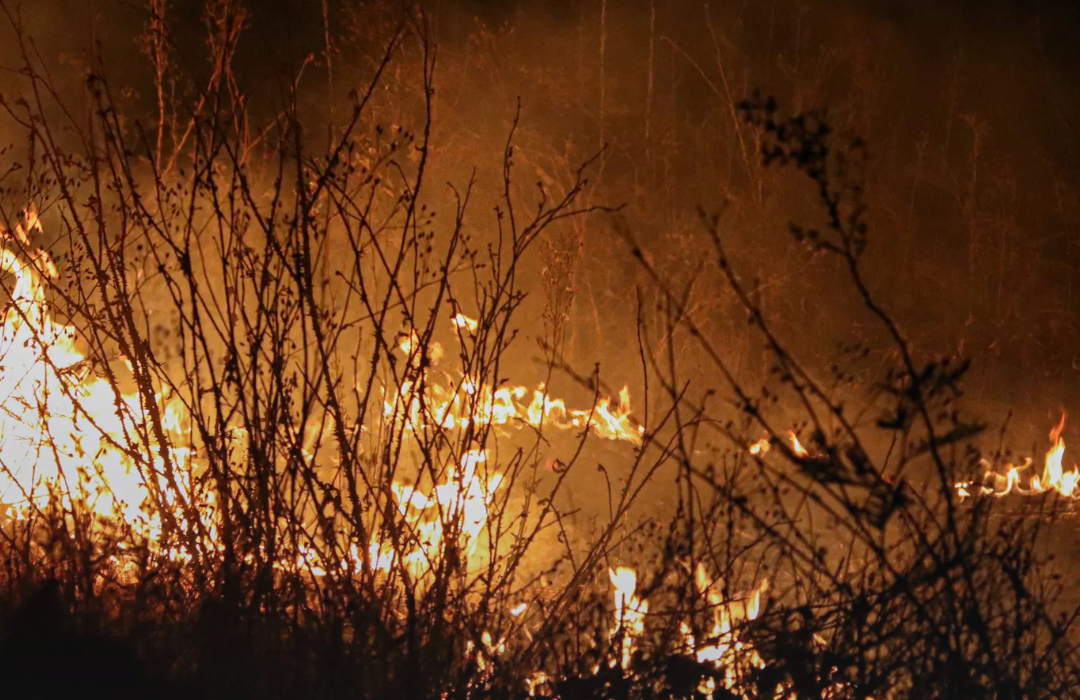 La Araucanía bajo fuego: incendios intencionales, toque de queda y ataques a brigadistas