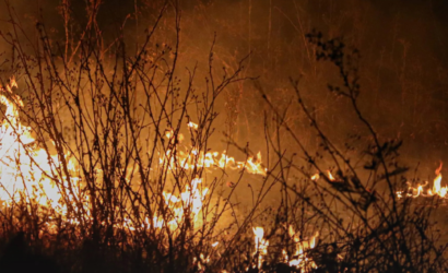La Araucanía bajo fuego: incendios intencionales, toque de queda y ataques a brigadistas
