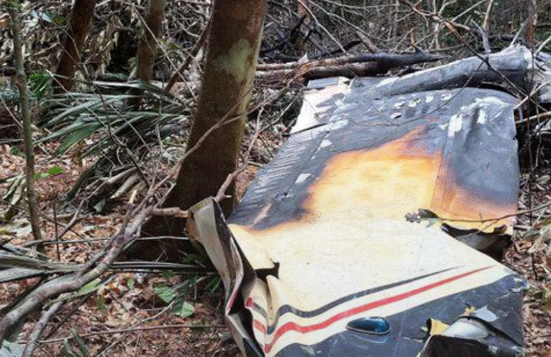 Brasil derriba avión «clandestino» proveniente de Venezuela: Policía halló droga y dos cuerpos en su interior