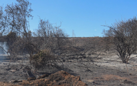 Nueve incendios en 42 días en el mismo predio: el patrón de las quemas intencionales para usurpar campos en el sur
