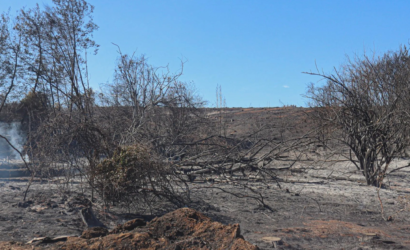 Nueve incendios en 42 días en el mismo predio: el patrón de las quemas intencionales para usurpar campos en el sur