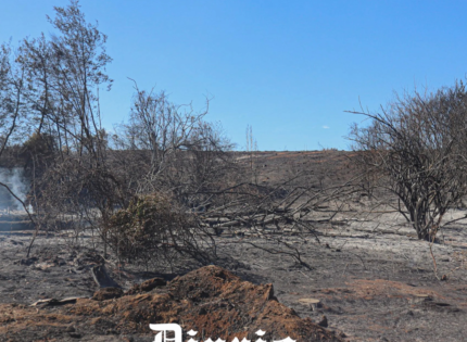 Nueve incendios en 42 días en el mismo predio: el patrón de las quemas intencionales para usurpar campos en el sur