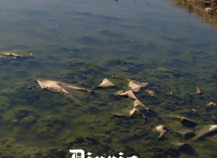 Quechuas de Ollagüe denuncian años de vertimiento de aguas servidas a salar: “A veces no se puede ni respirar”