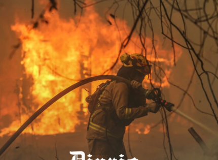 Gobierno adeuda más de $1.000 millones a un proveedor que prestó servicios hace un año en megaincendio de Valparaíso