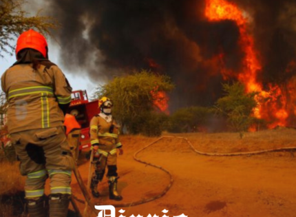 Gobierno decreta Estado de Emergencia preventivo en Ñuble y Maule y toque de queda en La Araucanía