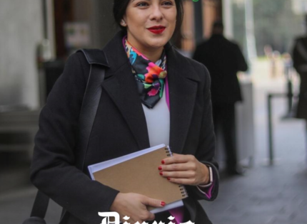 Karol Cariola renuncia como presidenta de la Cámara de Diputados en medio de investigación por posible tráfico de influencias