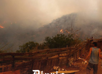 Megaincendio de Viña: Fiscalía indagará eventual responsabilidad de autoridades