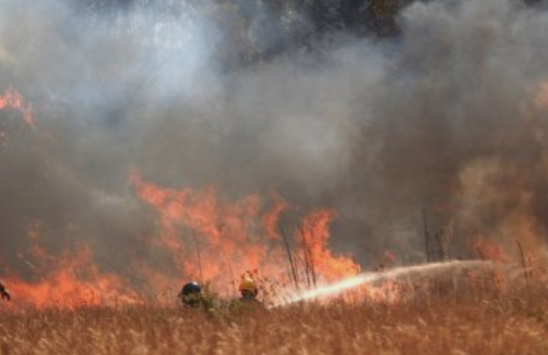 Grandes incendios forestales en Biobío, Ñuble, La Araucanía y Los Ríos
