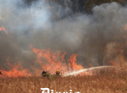 Grandes incendios forestales en Biobío, Ñuble, La Araucanía y Los Ríos