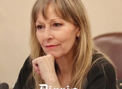 «Hay redes de explotación sexual vinculadas a hogares de protección»: Diputada Gazmuri por crisis de Mejor Niñez