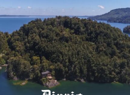 Desde US$ 360 mil: Se venden más de 10 islas privadas y otros grandes terrenos naturales en el sur de Chile