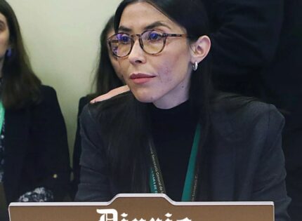 Jefa jurídica de Segpres que no alertó sobre caso Allende recibió dos becas estatales para postgrados por $144 millones