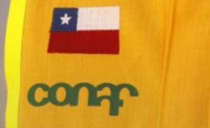 Fin de Conaf: Congreso despachó creación del Servicio Nacional Forestal