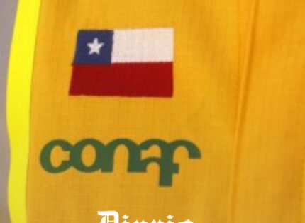 Fin de Conaf: Congreso despachó creación del Servicio Nacional Forestal