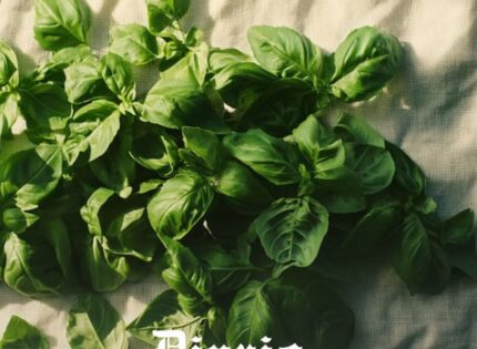 La hierba sagrada que regula el azúcar en sangre, mejora la digestión y ayuda a combatir el estrés crónico