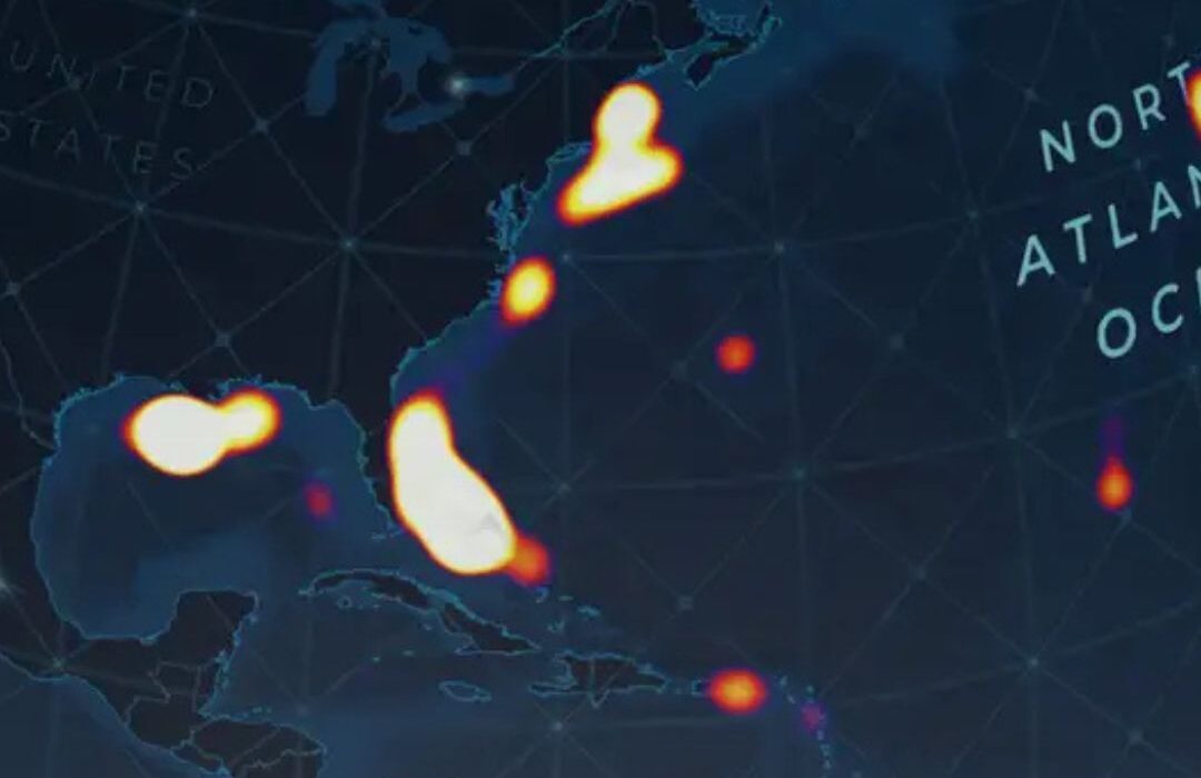 Hemos visto apenas el 0,001 % de las profundidades del mar