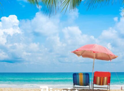 Contraloría detecta que 25 mil funcionarios públicos salieron del país mientras estaban con licencia