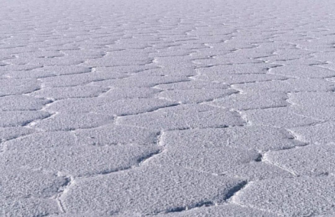 Bolivia deberá suspender proyectos de litio con empresa china y rusa hasta aclarar impacto ambiental
