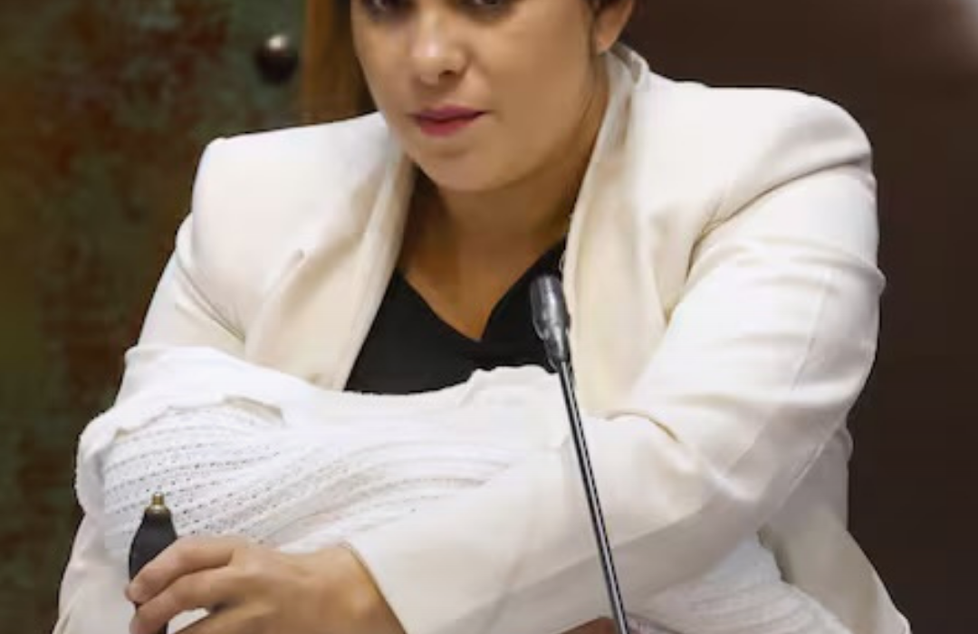 Le celebró el cumpleaños en La Dehesa y compraba regalos para su bebé: los “gestos“ del empresario chino con la diputada Karol Cariola
