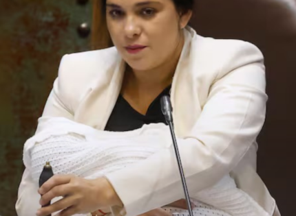 Le celebró el cumpleaños en La Dehesa y compraba regalos para su bebé: los “gestos“ del empresario chino con la diputada Karol Cariola