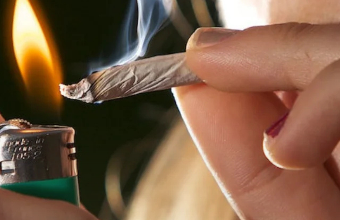 Estudio basado en 200 millones de personas revela que consumir marihuana duplica probabilidad de morir por enfermedad cardiovascular